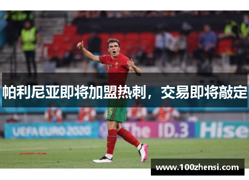 帕利尼亚即将加盟热刺，交易即将敲定