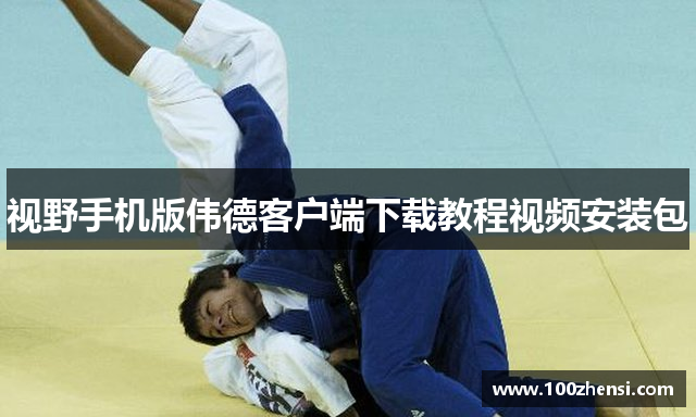 视野手机版伟德客户端下载教程视频安装包